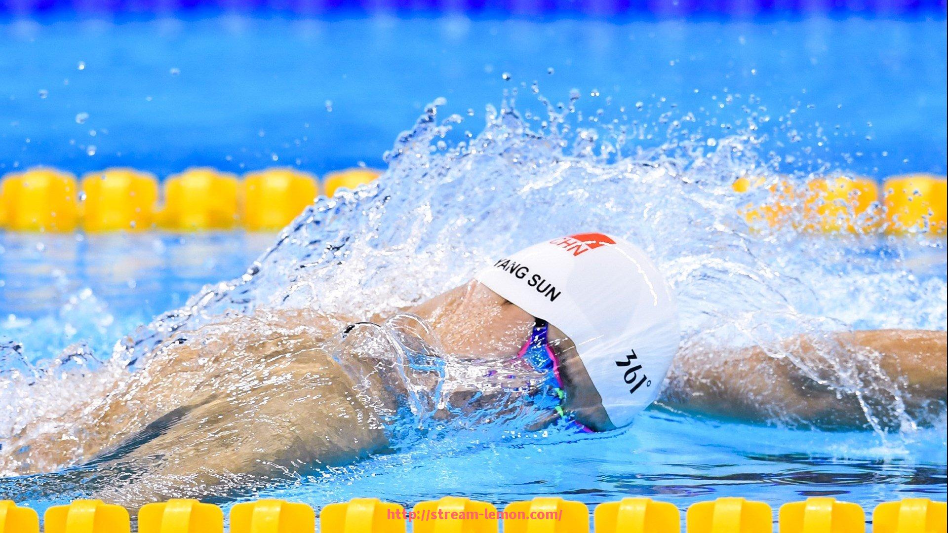 柠檬体育直播-世俱杯球迷手持标语创意展示：表达热爱与信仰的方式