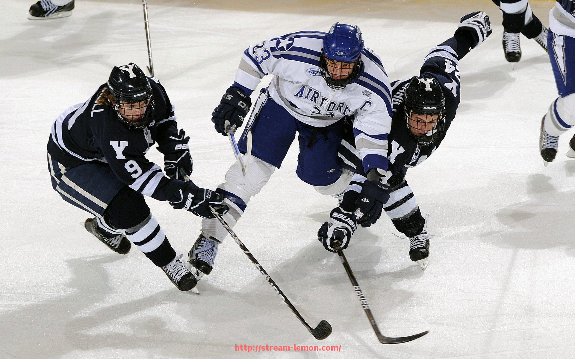柠檬体育直播-健身器材发力教程：科学提升体育锻炼中的力量效果